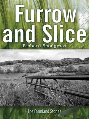 cover image of Furrow and Slice